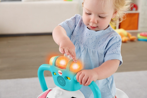 Mattel Fisher-price, Cachorro Salta Y Aprende