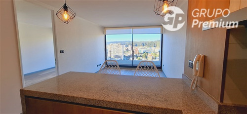 Departamento En Arriendo De 1 Dorm. En Concepción