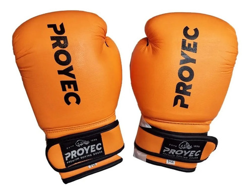 Guantes De Boxeo Junior 6oz Abrojo Proyec Kick Thai Boxing