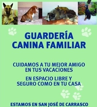 Imagen 1 de 5 de Guarderia Canina Ciudad De La Costa,hotel, Pensionado Perros