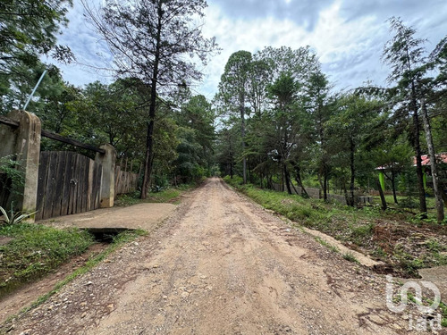 Venta Terreno 0 Ambiente Chijiltec (san Isidro)