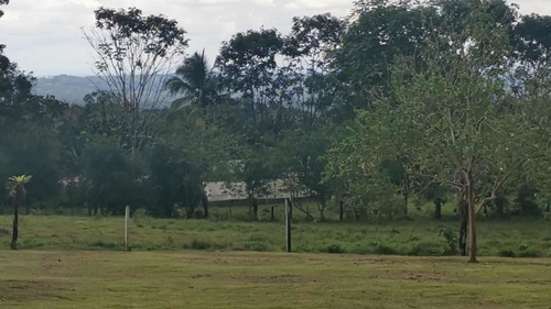 Imagen 2 de 6 de Se Vende Hermoso Lote En Zona Sumamente Turístico
