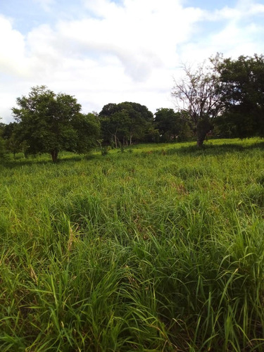 Terreno En Rancho O Rancheria San Juan El Alto