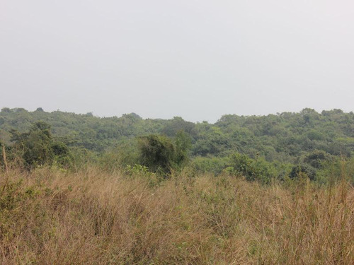 Venta Terrenos 16,712 M² Tuxpan Veracruz