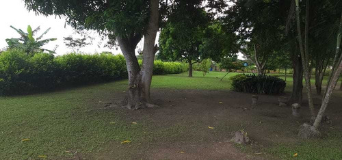 Imagen 11 de 13 de Granja Avícola- Porcina En Barinas Cerca Del Centro