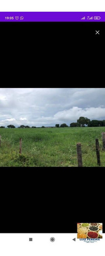 Imagem 7 de 10 de Fazenda À Venda Em Dois Irmãos - To - De 124 Alqueirões (dupla Aptidão) - 1627