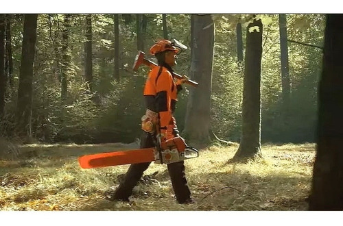 Motosserra Stihl Ms 661 - 5200w - 91,6cc - 63cm + Brindes