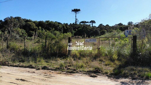 Imagem 2 de 23 de Área À Venda, 11914 M² Por R$ 5.766.419,56 - Cidade Industrial - Curitiba/pr - Ar0007