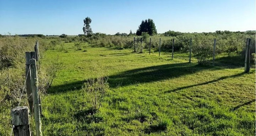 Vendo 143has Ideal Harás Índice Coneat 180/210 Oportunidad De Comprar Oro Líquido.!!! Ubicado En La Localidad De Aguas Corrientes Dpto De Canelones Con 4 Casas, Varios Galpones Aguadas, Arroyos