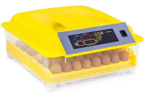 Incubadora Automática Gadnic 48 Huevos Aves Digital
