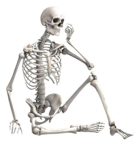 Articulaciones Posibles De Esqueleto De Halloween Para