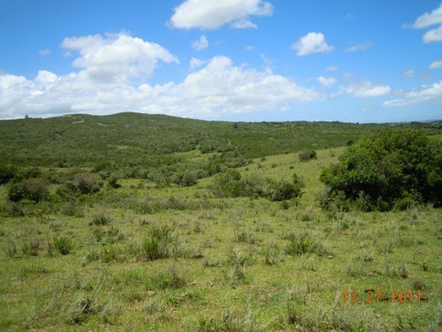Campo En Venta En Garzón Rural