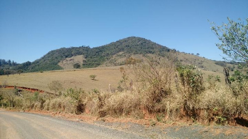 Imagem 11 de 12 de Sítio Para Venda Em Vargem, Lopo - 5422_2-318296