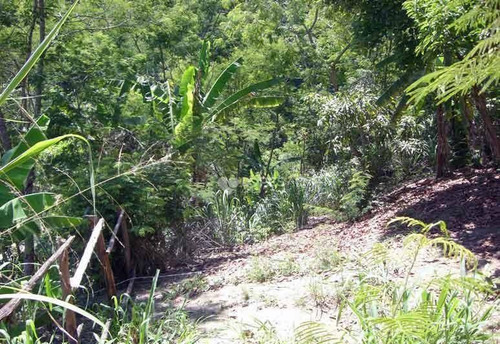 Imagem 9 de 15 de Terreno À Venda, 167000 M² Por R$ 2.100.000,00 - Vila Progresso - Niterói/rj - Te2684