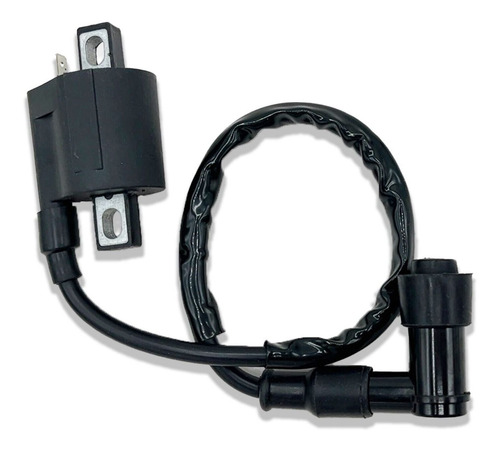 Ignition Coil For Kawasaki Oem Kx60 Kx65 Kx80 Kdx80 Kx12 Lql