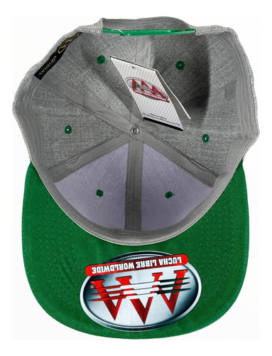 Gorra Lucha Libre Aaa Mr Iguana Visera Plana Gomriguana