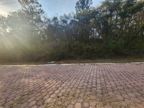 Venta Lote Gladiola 35 En Nueva Zona Del Fraccionamiento Con Bonitas Vistas, Todos Los Servicios Y Proyecto Incluído En Rancho San Diego Ixtapan De La Sal Edomex
