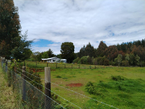 Vende Terreno 6.700 M2 Cerca Lago Ranco, Pillaco, Region De