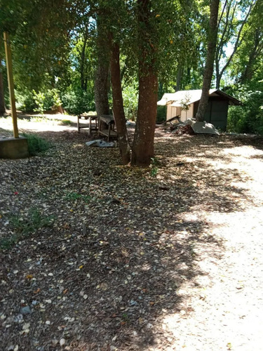 Venta De Parcela 10000mt2 De Terreno La Placeta-lo Beño