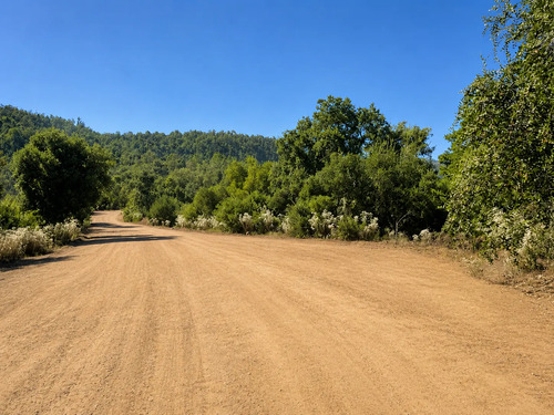 Parcela De 5000m2 Rodeada De Plena Naturaleza En Romeral