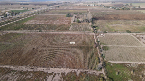 47 Hectareas De Campo Con Gran Frente En Ruta Nacional 40 (acceso Sur) Ugarteche Lujan De Cuyo