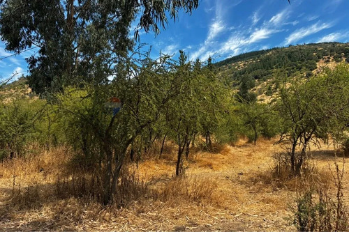 Venta De Terreno Santa Cruz