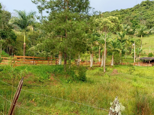 Chácara Com Casa