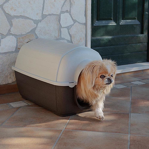 Imagen 4 de 9 de Casilla Cucha Perros Medianos 03/89cm. + E. Gratis*