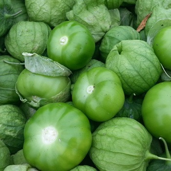 100 Semillas De Tomatillo Verde 