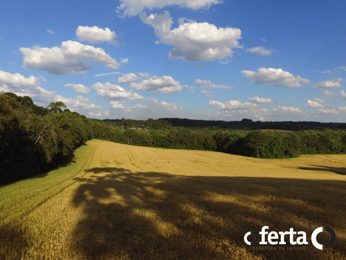 Imagem 4 de 14 de Chacara - Tiete - Ref: 573 - V-573