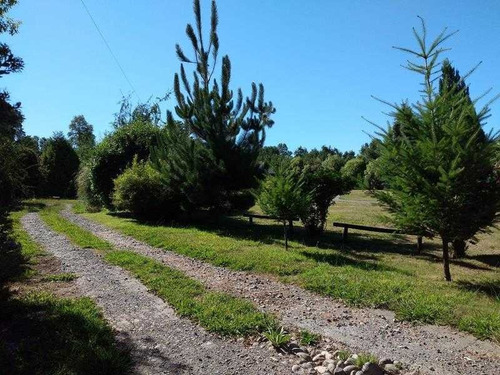 Imagen 3 de 30 de Casa En ¨parcela En Sector Los Guindos