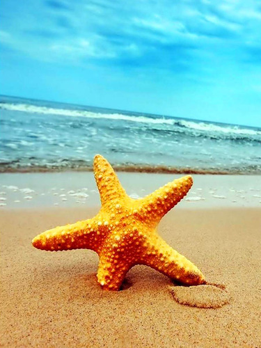 Diy 5d Diamond Paint Beach Starfish By Number Kit Arte