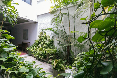 Imagen 7 de 11 de Casa En Venta O Renta De 10 Habitaciones En El Centro De Antigua Guatemala