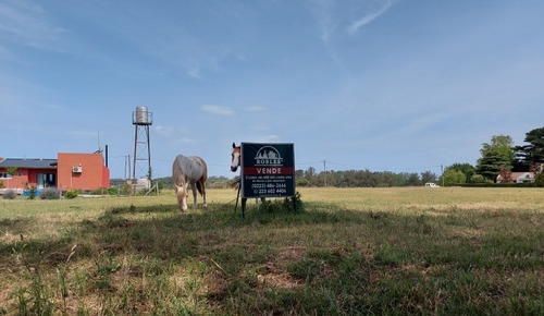 Imagen 1 de 6 de Terreno En Venta En Santa Celina