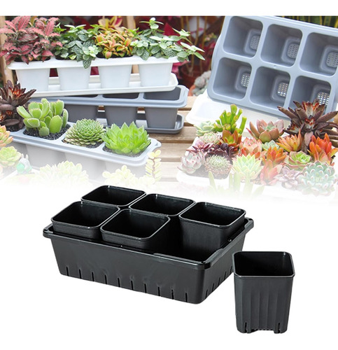 Maceta Para Trasplante De Plántulas, Caja De 6 Rejillas