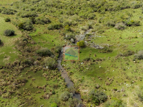 Imagen 3 de 28 de Campo 180 Hás En Altos De Carapé