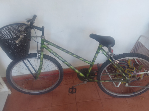 Bicicleta Sin Cambio Color Verde Incluye Canasto