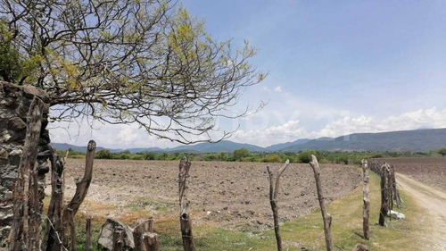 Habitacional Renta Predio Rústico Xacamixtlaco Higuerón Jojutla, Morelos