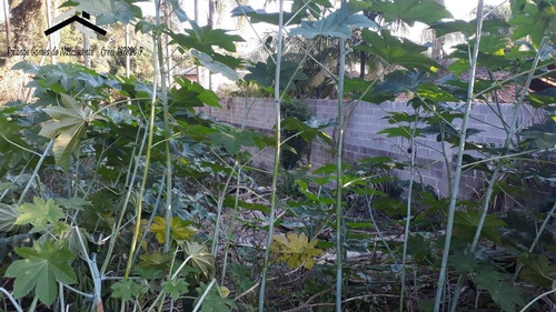 Imagem 15 de 15 de Ótimo Terreno Em Condomínio Fechado Em Caucaia Do Alto - Cotia - 293