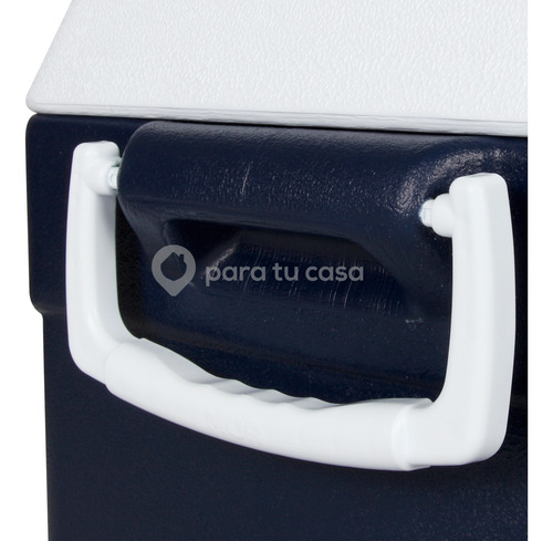 Imagen 3 de 10 de Conservadora Heladerita Portatil Playa Camping 55 L Mor