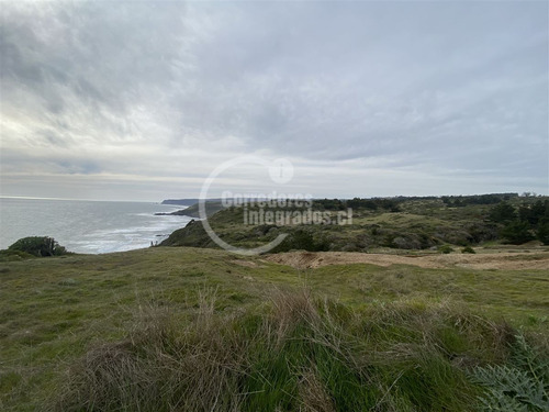 Sitios Venta, Entre Topocalma Y Pichilemu, 5.000 M2, Vista