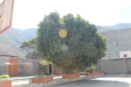 Imagen 12 de 21 de Casa Grande Con Piscina En Venta Sector Pozo Hondo Frente A Macro, Ejido