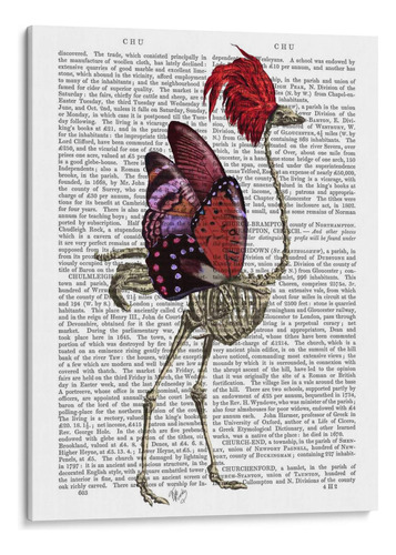 Canvas Lab Cuadro Ostrich Skeleton 90x120, Fab Funky
