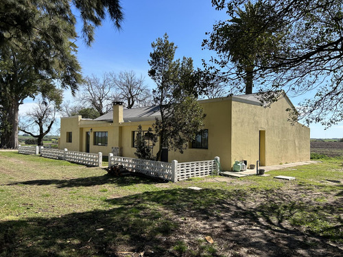 Chacra 5 Has, Colonia