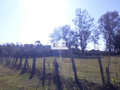 Chácara Para Venda - 11039
