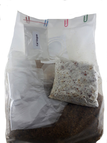 Kit P/ Produzir Cogumelo Champignon Em Casa Alimento Vegano