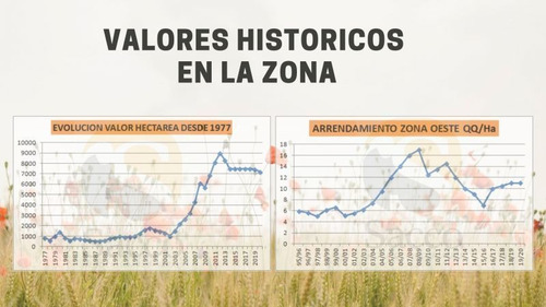 Imagen 11 de 12 de Campo De 50 Has En Venta En Distrito De #trenquelauquen