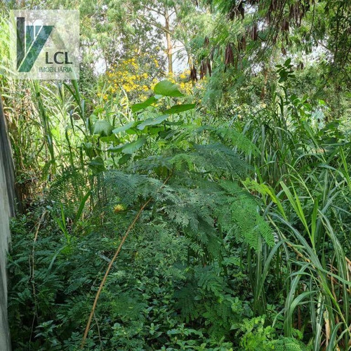 Imagem 12 de 17 de Terreno À Venda, 704 M² Por R$ 600.000,00 - Parque Ipê - São Paulo/sp - Te0001
