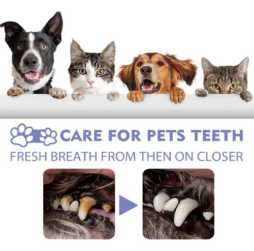 De Spray Oral Para Animales De Estimación Para Limpiar