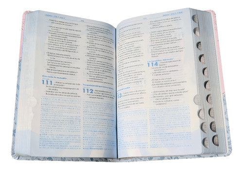 Biblia Estudio Llamados A La Reconciliación Piel Rosa 1960